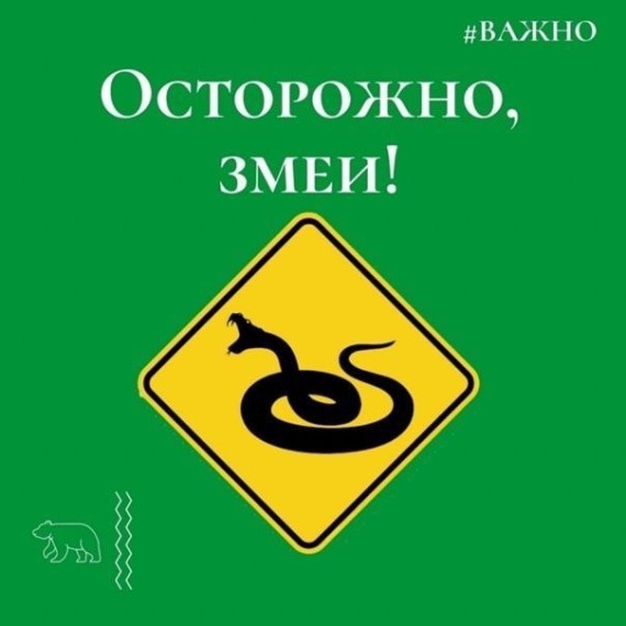 Осторожно, змеи!. Осторожно, змеи!.